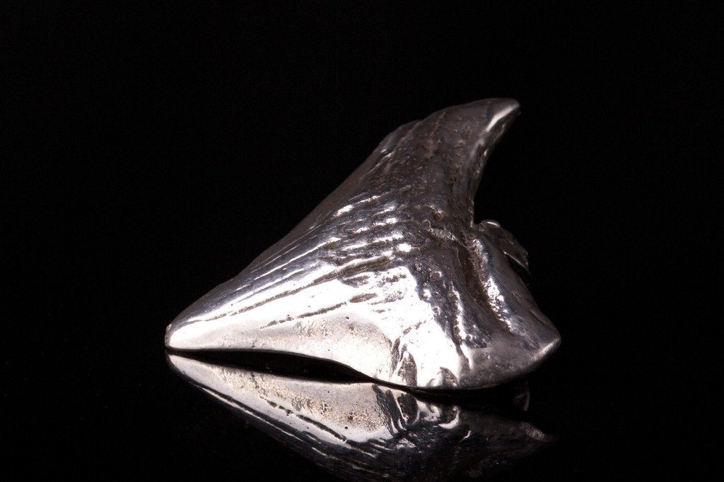 Sterling Silver Megalodon Shark Tooth Pendant - Ti Survival