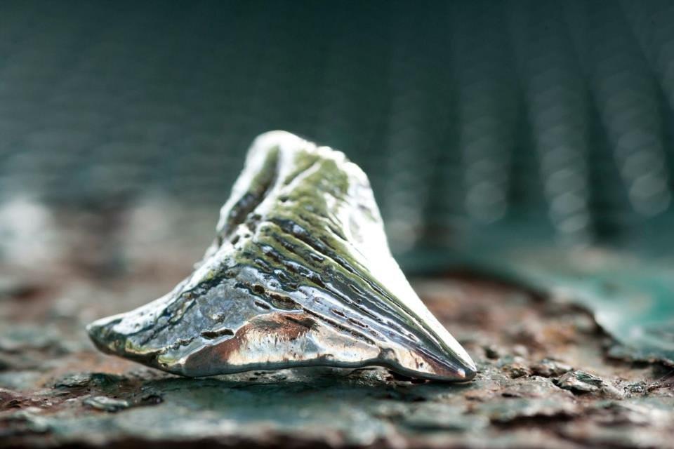 Sterling Silver Megalodon Shark Tooth Pendant - Ti Survival