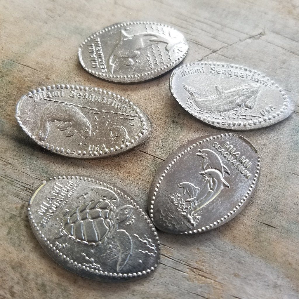Titanium Elongated Pennies - Ti Survival