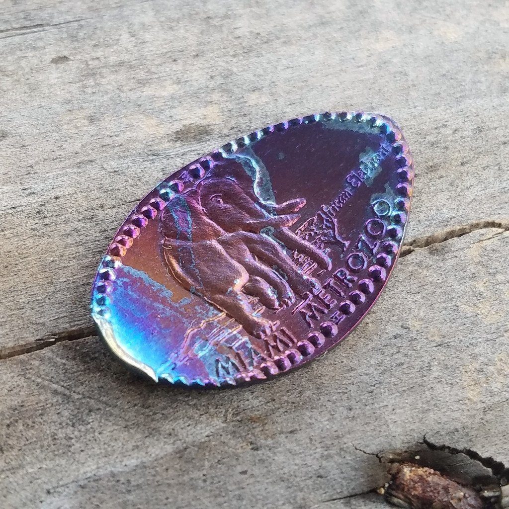 Titanium Elongated Pennies - Ti Survival